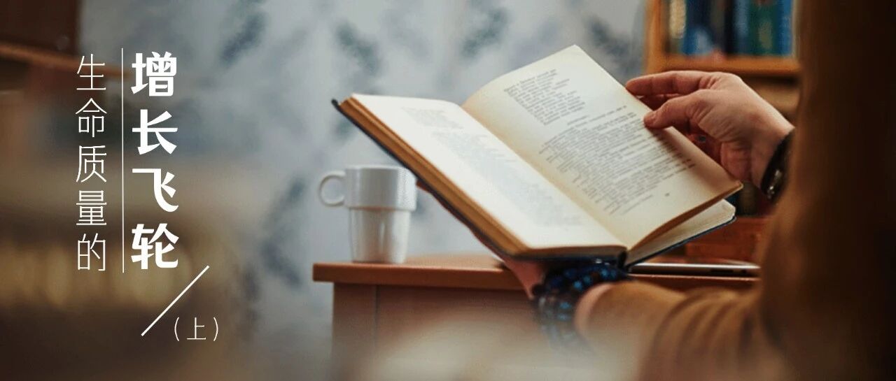 生命质量增长飞轮